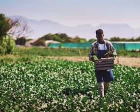 Sustainable Agriculture